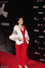 组图：2012新浪微博之夜红毯-颜丹晨