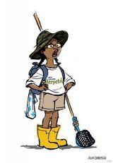 高清组图：皮克斯动画片《蝾螈》概念艺术设计图