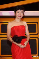 组图：陶晶莹独挑金钟主持大梁 削肩洋装小露性感