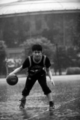 组图：陈晓【演员】签售写真人气爆棚 将拍《神雕侠侣》