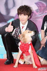 组图：萧敬腾为流浪猫狗证婚 爱猫成痴领养四只