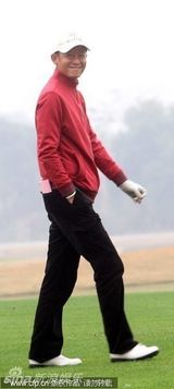 组图：王志文携妻揽子打球赛 小家伙搞怪父子颇似