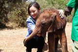 组图：袁姗姗非洲助养孤象 称做公益是长期信念