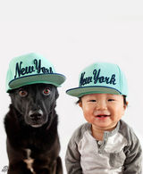 组图：台湾流浪狗被跨海收养 萌狗萌娃照爆红