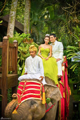 组图：严屹宽杜若溪海外婚礼 大象迎亲明星助阵