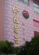 组图：传张艺谋与陈婷所生孩子幼儿园小学曝光