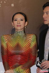 组图：章子怡七彩蛇女装抢镜 梁朝伟力撑王家卫