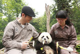 黄晓明拄拐探望雅安熊猫宝宝 开心同啃竹子(图)