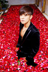 高清组图：罗志祥万朵玫瑰共浴 小秀性感事业线