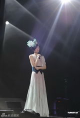 组图：王菲演唱会众星捧场 带众人为灾民祈福