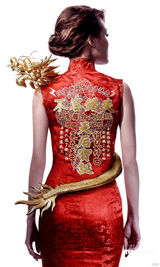 幻灯图：容祖儿新专辑订单逼白金 金龙缠身拍写真