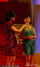 高清组图：赵雅芝典雅装扮 年过半百风韵不减