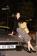 组图：董璇亮相国际车展气质清丽出众