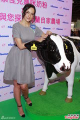 组图：吴彦祖娇妻Lisa S.产后亮相上围升级D乳