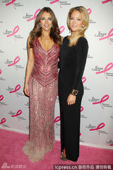 组图：伊丽莎白-赫莉低胸裙亮相乳癌基金会派对