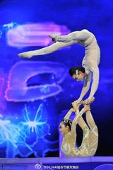 组图：马年春晚落幕 李敏镐苏菲玛索抢镜