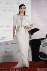 组图：亚洲电影奖红毯 章子怡刘嘉玲艳压嫩模