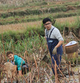 组图：《爸爸》萌爸林志颖劳作搞怪似少年