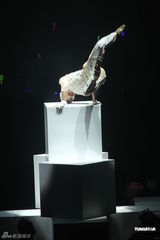 组图：郭富城个唱变型金刚舞台华丽震撼