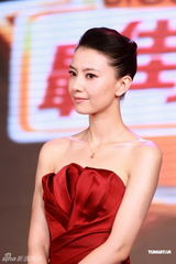 组图：高圆圆携手刘谦变魔术 新片直面“人肉搜索”