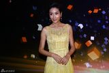 组图：2013新浪微博之夜红毯 杨恭如嫩黄裙妩媚