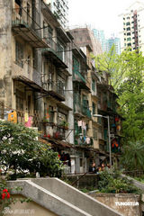 幻灯图：吴君如建议砌回戏中鞋店 放永利街供人参观 