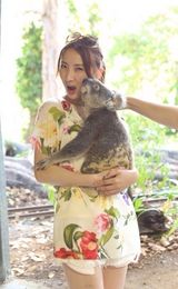 组图：陈赫携妻子畅游澳洲 喂食袋鼠享甜蜜时光