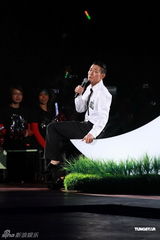 组图：刘德华“体力派”演唱会 与黎明携手同台