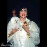 组图：追忆玉婆 伊丽莎白-泰勒影像图集