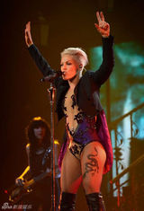 组图：P!nk高空倒吊演唱 与舞伴激情肉搏