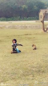 组图：电影《爸爸》曝花絮照 萌宝喂小动物有爱