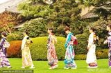 组图：日本国民美少女炫彩和服迎新年 武井咲等助阵