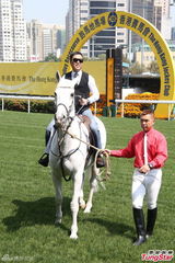 组图：甄子丹骑马潇洒 爱驹或取名“爱诗诗”