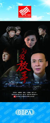 组图：2012年首都电视节目秋推会海报展示