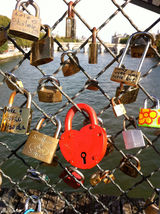 高清图：苏有朋Hebe等名人公益摄影活动作品展示