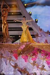 组图：金鹰女神刘诗诗空降现场金裙耀眼