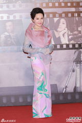 组图：梁朝伟叶德娴等众星亮相金像奖红毯