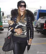 组图：希尔顿变黑色公主 踩铆钉靴抱爱犬出街