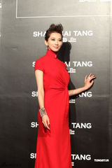 组图：林志玲红裙秀光洁美背 遭日本艺人求爱