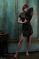 高清组图：韩国车模黄美姬旗袍写真 大秀中国风