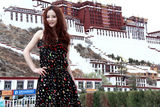 高清组图：陶红新写真 布达拉宫前演绎优雅