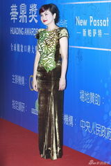 组图：华鼎奖红毯巨星闪耀 妮可刘晓庆斗艳