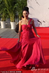 第21届金鸡百花电影节红毯女星争艳
