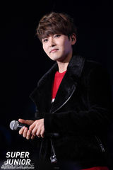 高清图：SJ-M台北会粉丝 热情狂High亲密暧昧