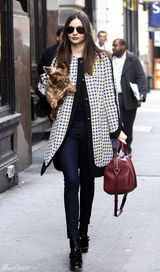 高清组图：超模米兰达-可儿纽约街拍怀抱宠物狗