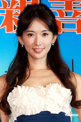 幻灯组图：林志玲任世博会代言人 率亲善大使团亮相