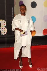 组图：2013全英音乐奖女星红毯竞艳