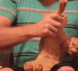 秒娱连珠：主人！别这么逗比好吗？