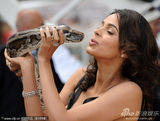 幻灯图集：《欲蛇》见面会 印度女星玛丽卡蟒蛇绕脖