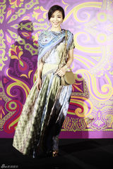 组图：张静初印花长裙亮相 飘逸彰显意式风情